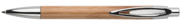 Bamboo Pen